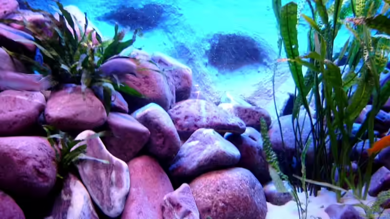 der linke Steinaufbau von Marco O. (14)