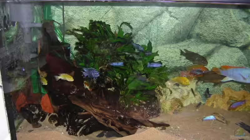 Der linke Teil des Beckens mit Stein und Holzaufbau. von Mario Matthes (4)