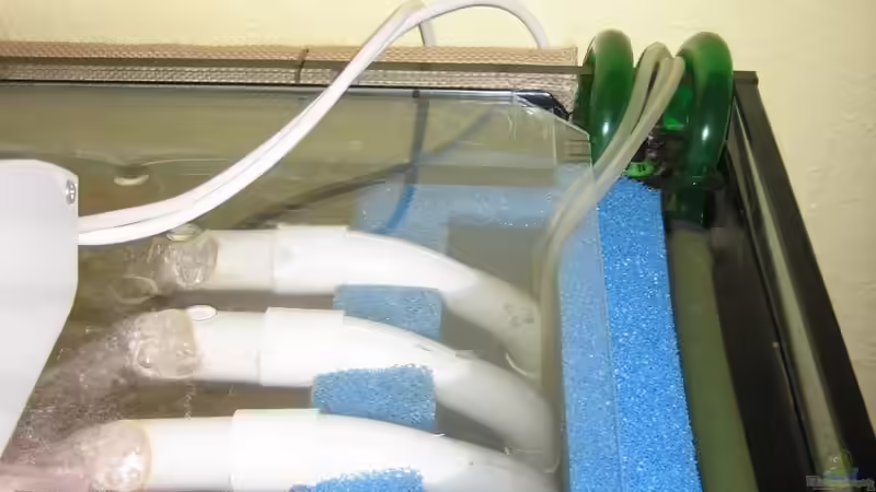 Der Matten-Turbo von oben. von Kaffeesatzleser (3)