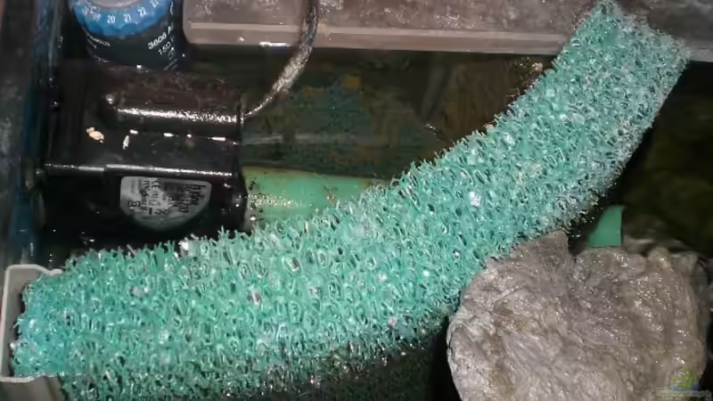 Der Mattenfilter mit Stabheizer - von oben von Aqua-Dirk (12)