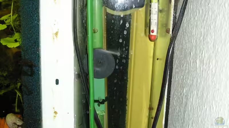 Der Mattenfilter von hinten von Borelli (10)