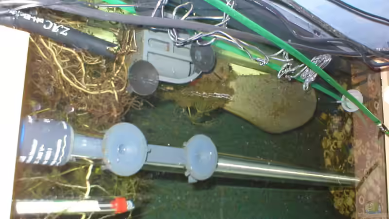 Der Mattenfilter von Hinten von Robin Bucksch (5)