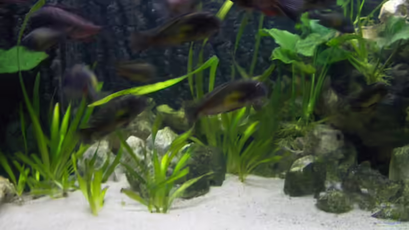 der mittlere Bereich des AQ von Sven Ufer (7)