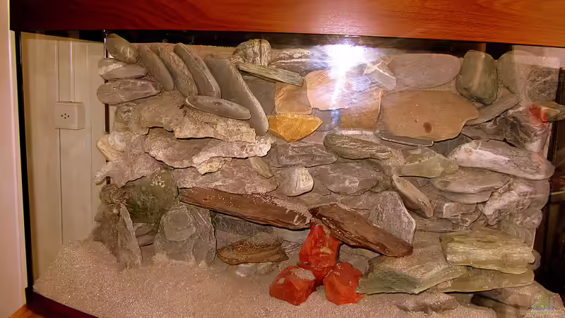 der mittlere Bereich ist fertig von Mbuna (8)