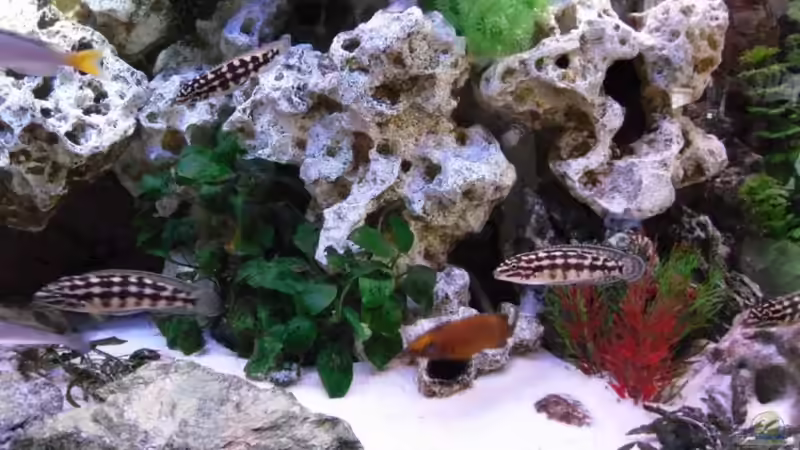 Der mittlere Bereich von Uwe Baumgarten (9)