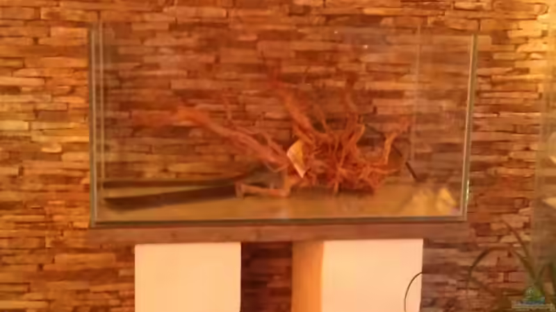 Der Nachfolger in Arbeit, Weissglas, Transparentverklebung (Stoß-m. Sicherheitsnaht), von El Hein (7)