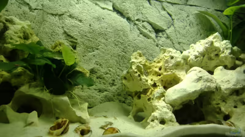 Der Nachwuchs von Michael Dölle (7)