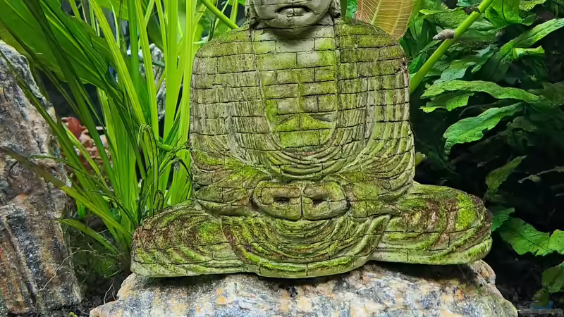 Der Namensgeber :-) von iceman80 (7)