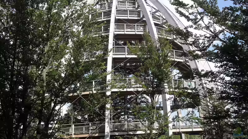 Der Nationalpark Bayerischer Wald - Ein Paradies für Naturfreunde und Abenteurer