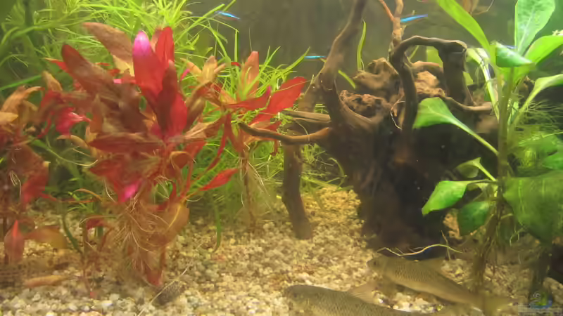 Der Natur auf der Spur :-) .....zumindest ein Schrittchen näher dran! von Mofafi-Liebhaber (47)