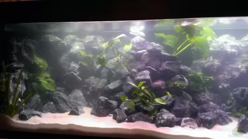 Der Nebel des Grauens lichtet sich ^^ von EvilChicken (4)