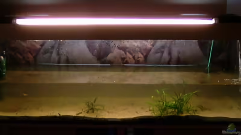 der (neu)anfang von Mario74 (2)