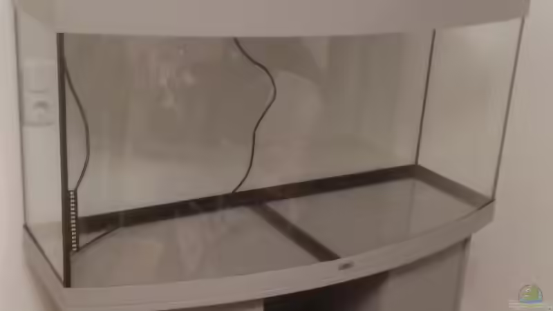 Der neue Anstrich von Wilhelm94 (3)