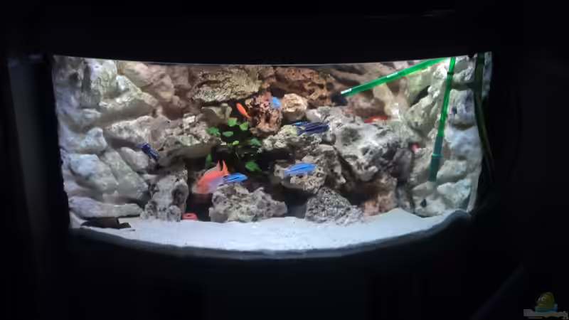 Der neue Filter von malawifans (5)