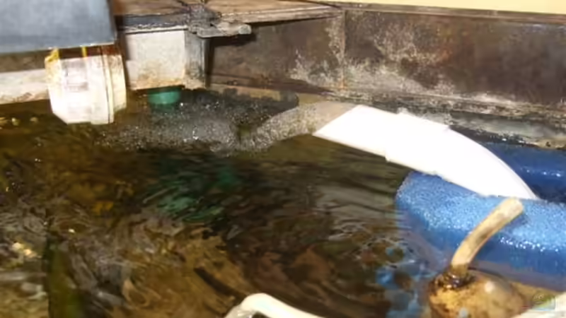 Der Neue HMF P 50/1  15 mal 18 cm mal 47 cm Fläche von Esslinger (17)