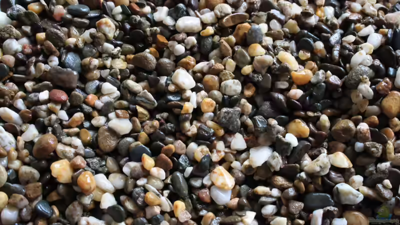 Der neue Kies wurde mit ca. 2-3 Kilo ins Becken dekoriert... von Florian Bandhauer (70)