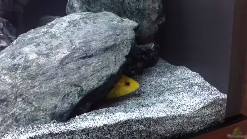 Der neue Sand von Anboy (2)