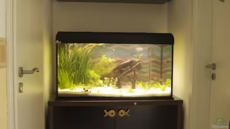 Der neue Standort in der Garderobe! Links Abstellkammer, rechts Gäste-WC von Nadinsche (4)