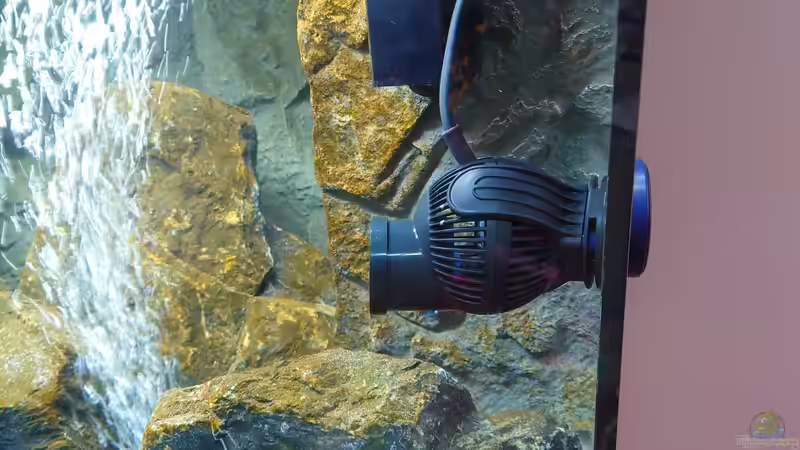 Der neue Turbo  von Stefan von Oettingen (28)