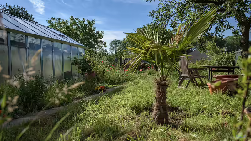 Der Nutzgarten: Alles, was Sie über den Anbau von Gemüse, Obst und Kräutern wissen müssen