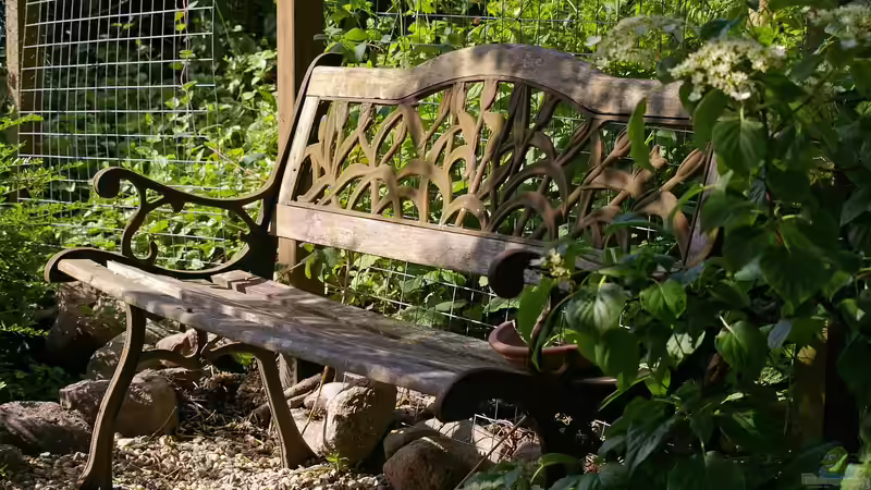 Der optimale Standort für die Sitzecke im Garten