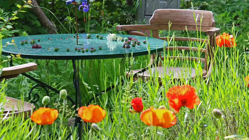 Der optimale Standort für die Sitzecke im Garten