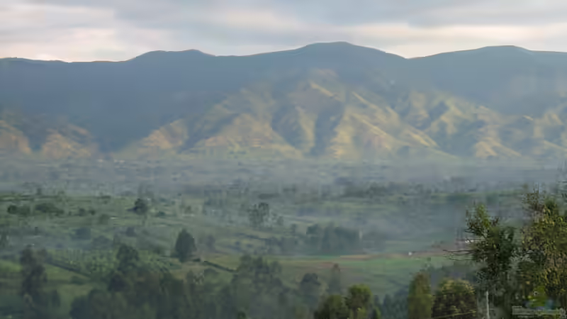 Der Ostafrikanische Graben aus Sicht der Aquaristik