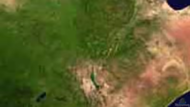 Der Ostafrikanische Graben aus Sicht der Aquaristik