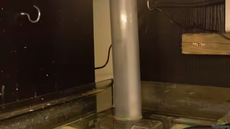 Der Paternoster mit Eheim-Unipumpe von Bacalhau (8)