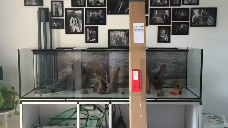 Der Postbote war da :) von stroelly (29)