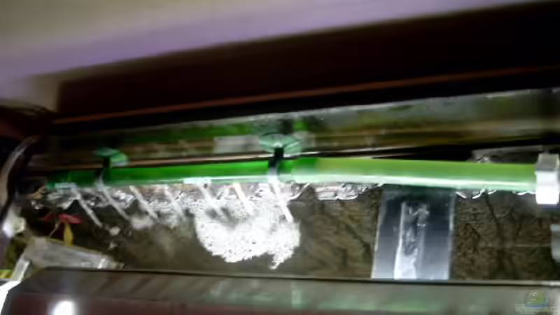 Der Pumpenausgang von Sean & Fynn (13)