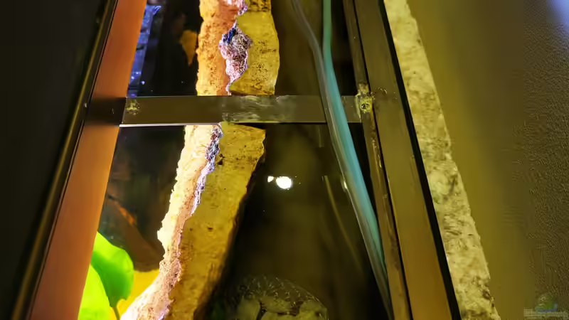 Der Raum hinter der Rückwand bietet Platz für verschiedene Filtermedien von Odonata (16)