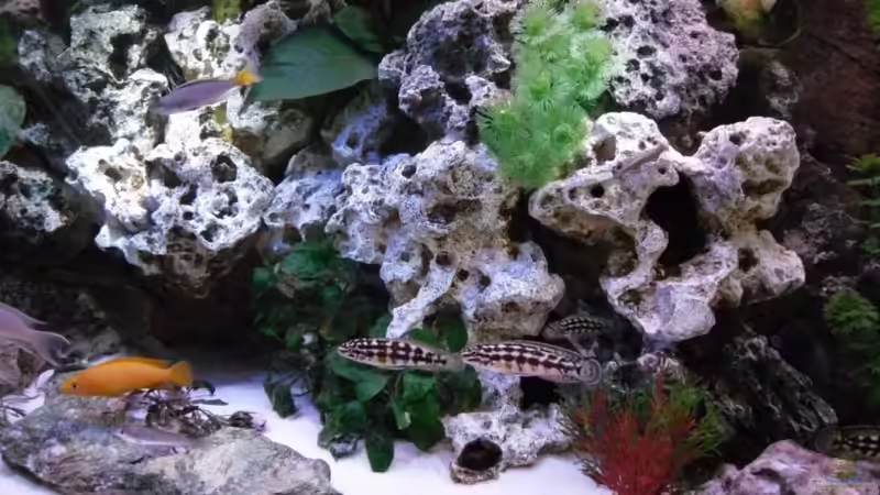 Der rechte Bereich von Uwe Baumgarten (4)