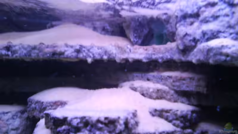 Der rechte filterausgang-versteckt in einem künstlichem stein von LaEy (46)