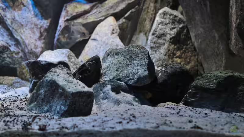 der rechte kleinere Aufbau von Marco O. (33)