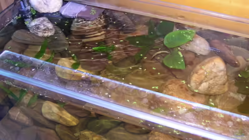 Der Regelheizer und der Filter (unter dem Stein^^) von David Leßnig (5)