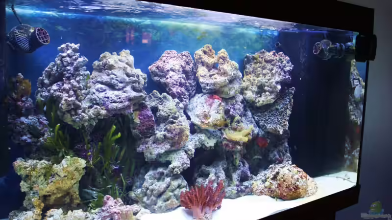 Der Riffaufbau von links gesehen von Thorsten John (15)