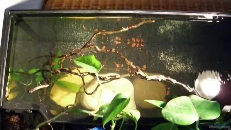 Der Rückwandfilter von Johannes (2)