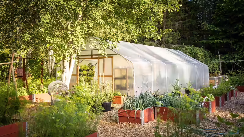 Der Saisonkalender für den Garten: Pflege-Timings übers Jahr