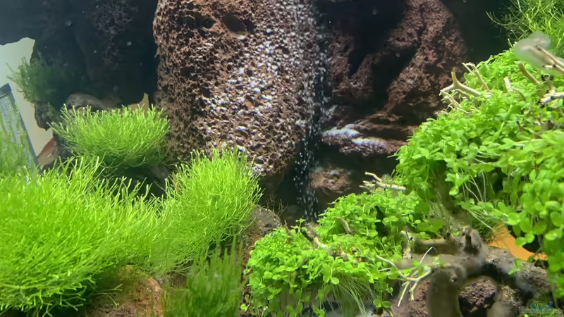 Der Sandfall von Matze3110 (9)