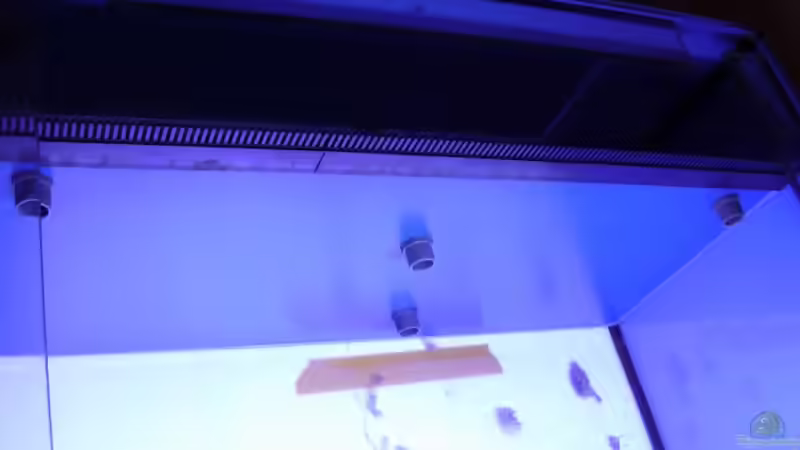 der Schacht damals ; mittlerweile wird nur noch das Loch links benutzt von Uwe Kerßenfischer (8)