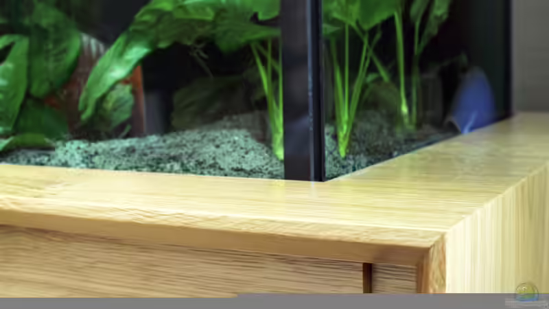 Der Schrank ist umlaufend gefast und sieht dadurch schön leicht aus.  von Christian Büning (5)