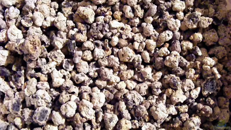 Der Spezialbodengrund von Falk (14)