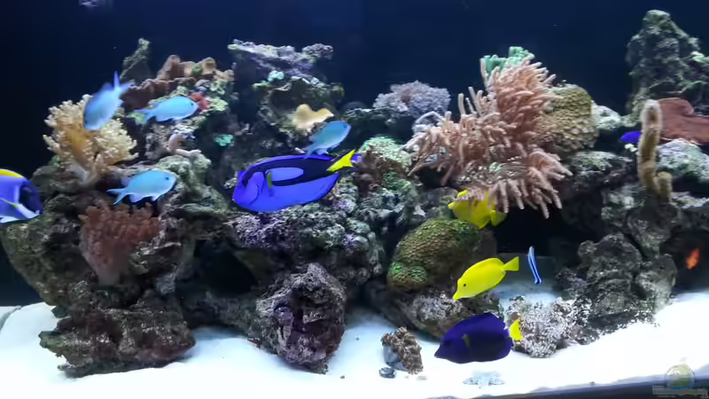 der Stand von 07.07.2013 von urbi (97)