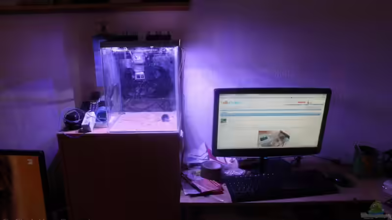 Der Standort noch leeres Becken aber mit Licht.  von chrisi01 (2)