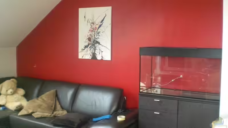 Der Standort von Alexandra Themessl (2)