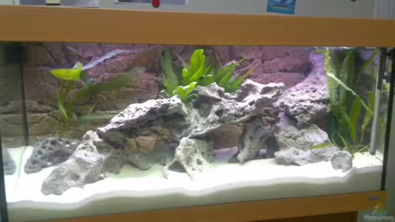 Der Start! von Heimo (2)