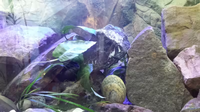 Der Stein in der Mitte, Antrahzit Farbig.  von Kevin Engelsberger (13)