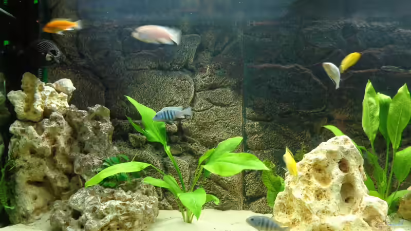 Der Stein links oben ist unecht. von Aspel82 (20)