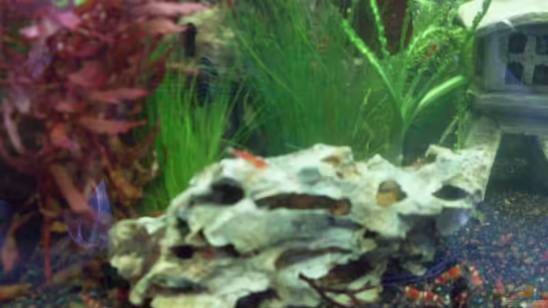 Der Stein links sieht ein bissel aus wie ein Schädel... von Brausefisch (7)